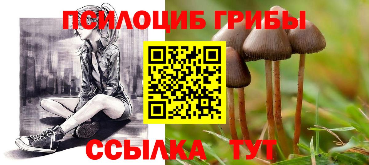 Галлюциногенные грибы Magic Shrooms  закладка  Тула  Вход с VPN 